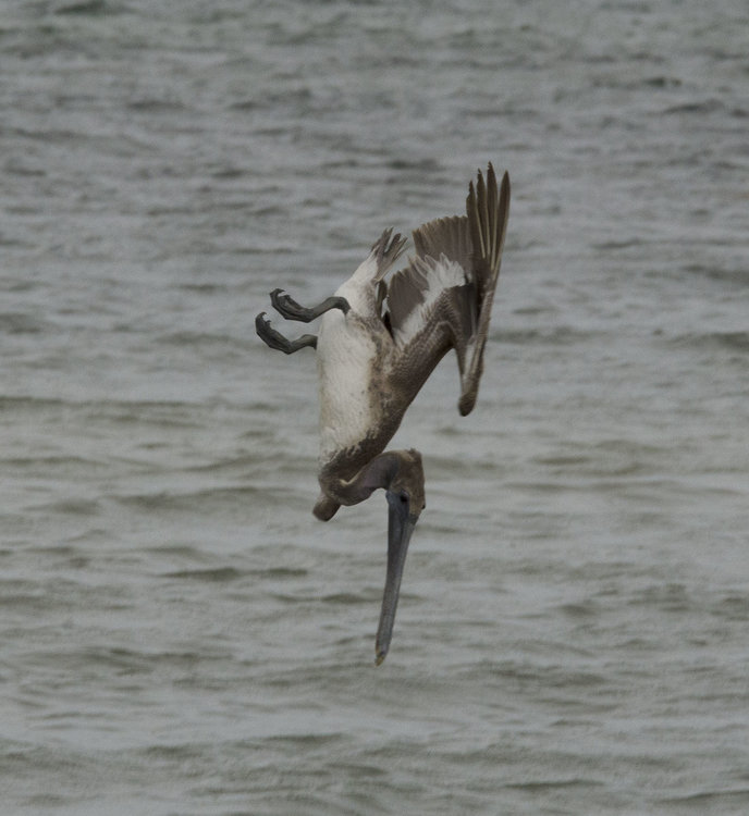 DSC_5837-1.jpg