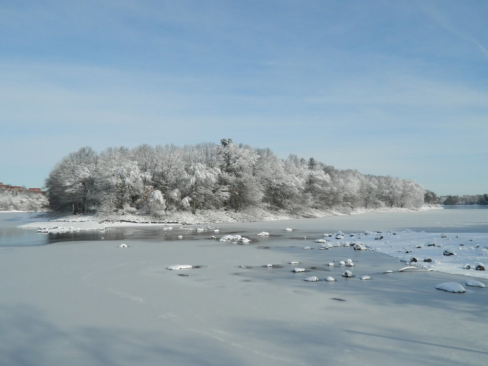 DSCN0665.JPG