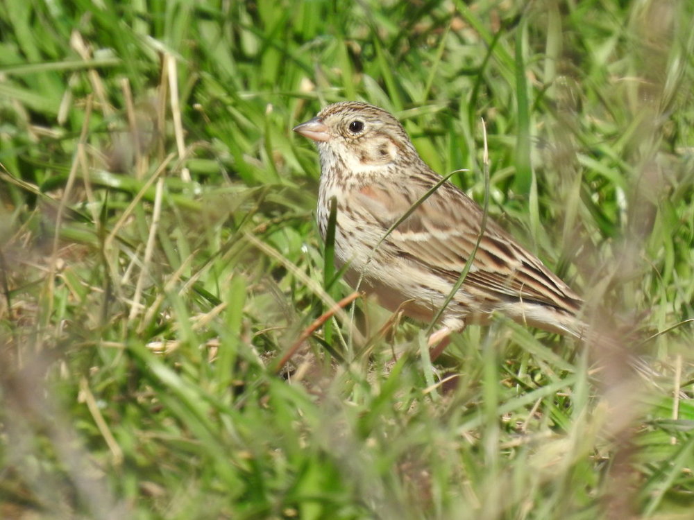 DSCN7311.JPG