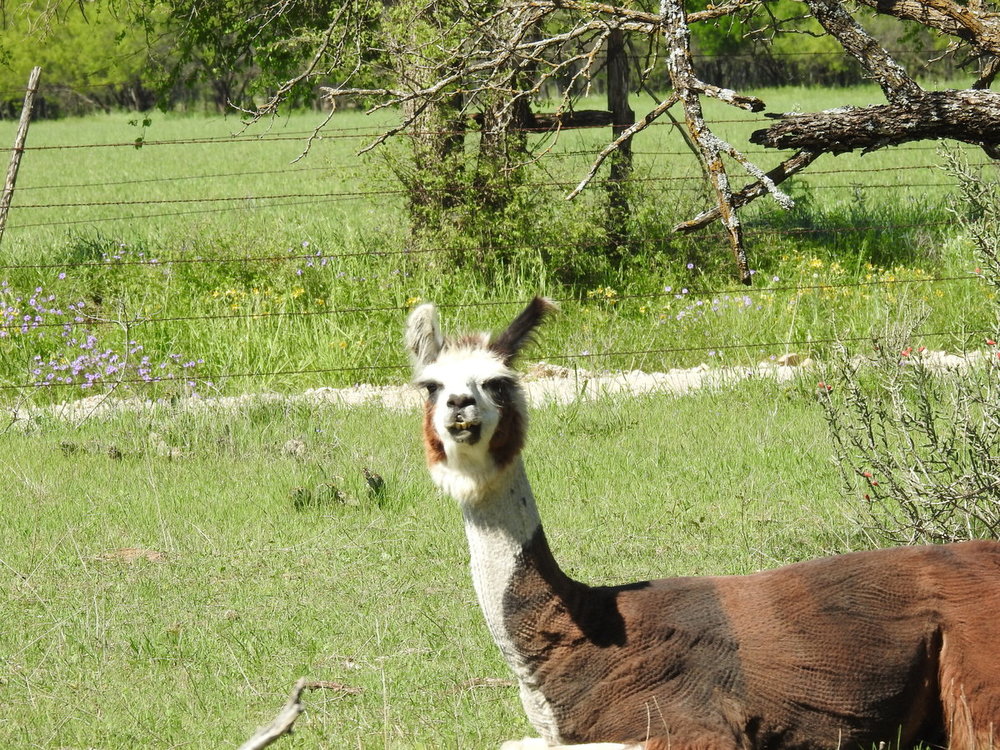 DSCN9956.JPG