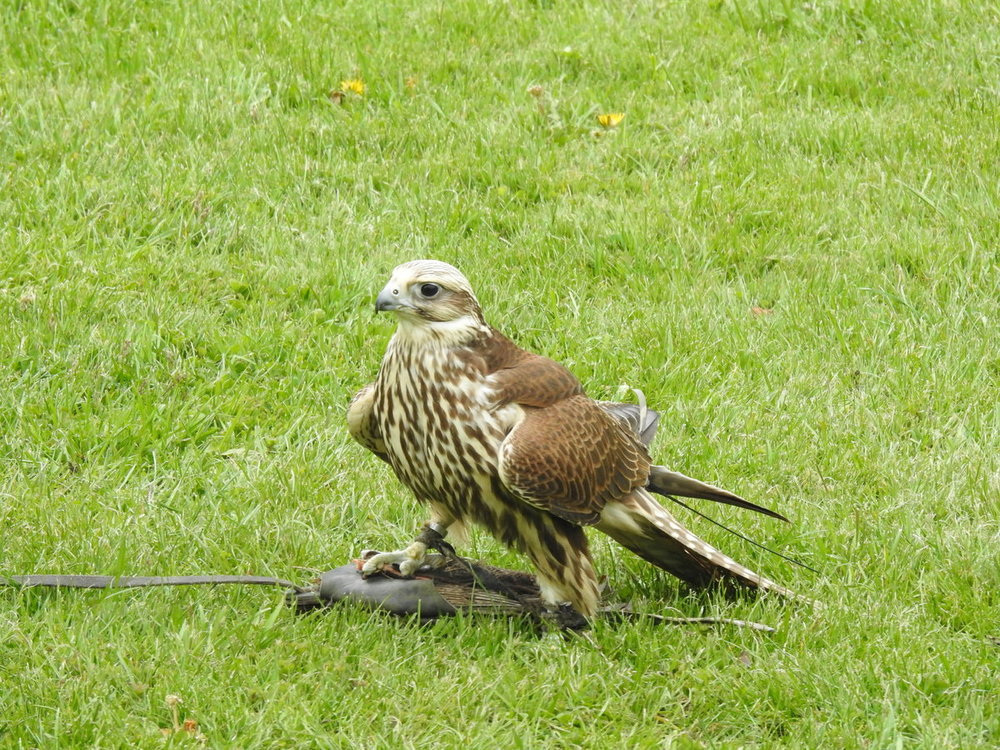DSCN3884.JPG