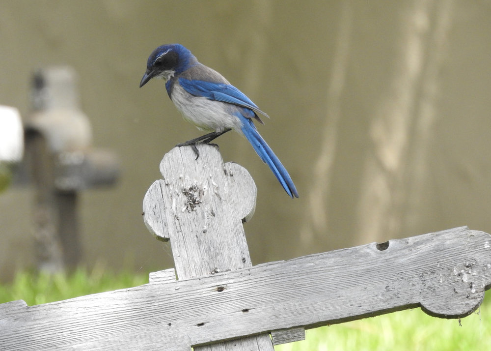 DSCN5941.JPG