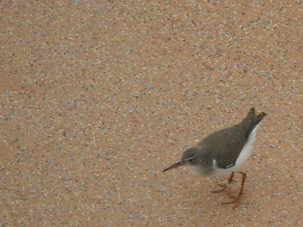 DSCN5655.JPG