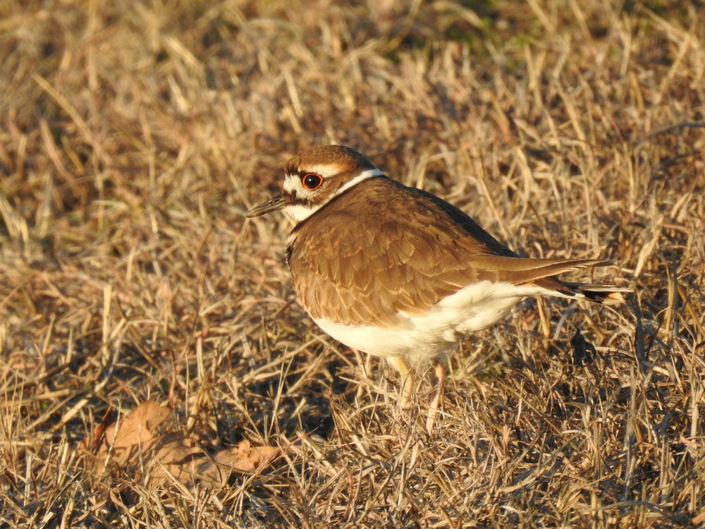 DSCN3066.JPG