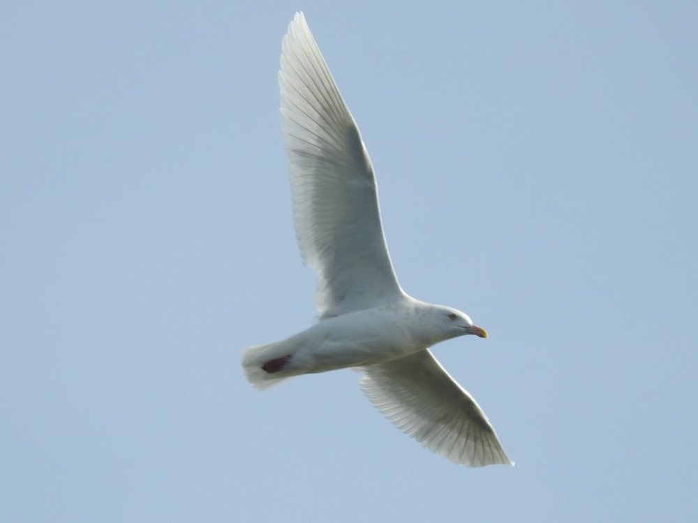 DSCN7853.JPG