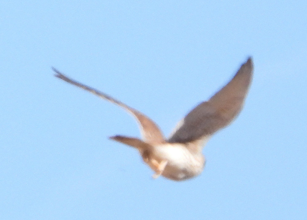 DSCN2177.JPG