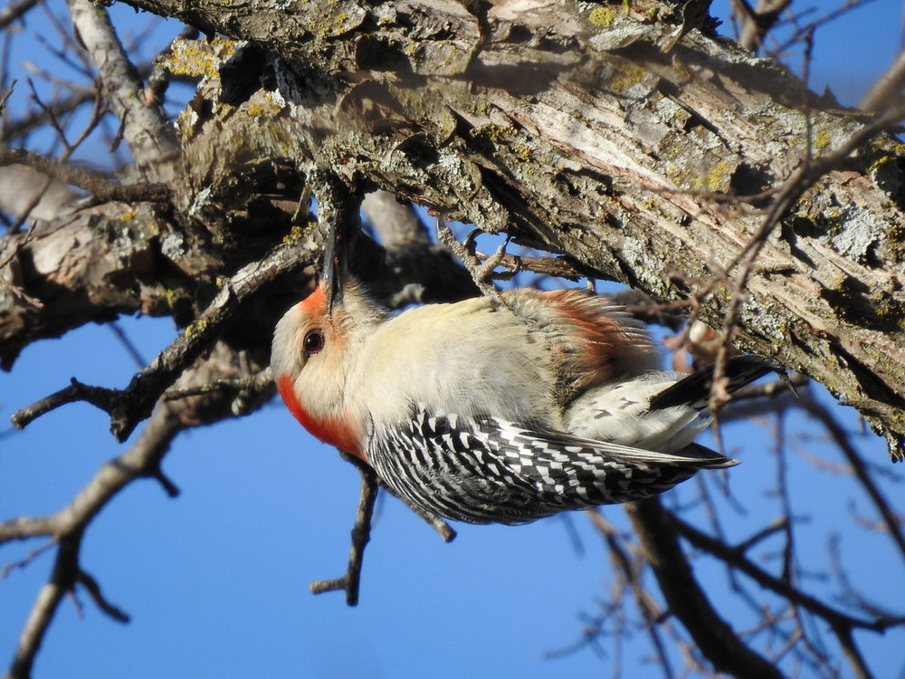DSCN6118.JPG
