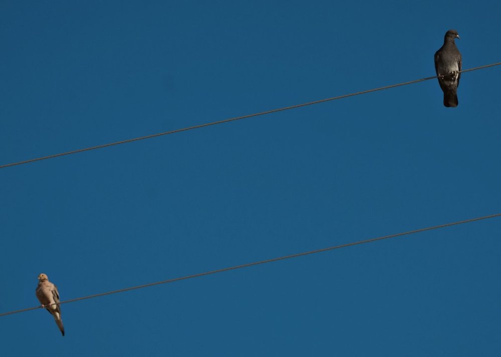 resize_DSC04190 1.jpg