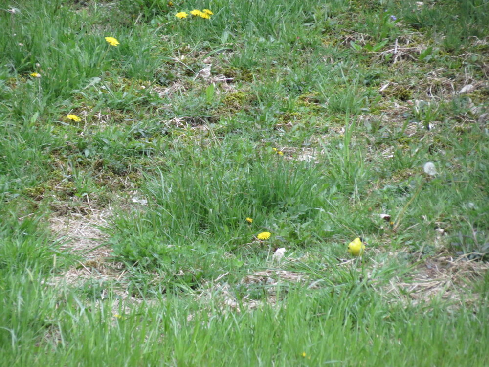 IMG_8340.JPG