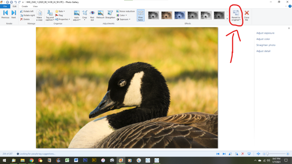 Screenshot 2021-01-07 205027.png