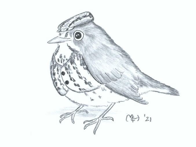 Bird sketch 1-12-21.JPG