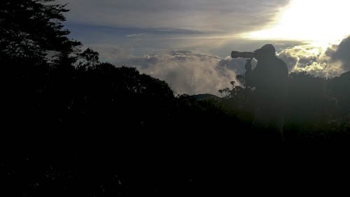 aaaa1111.jpg.725c85d1a5a725c506636f071fac18f0.jpg