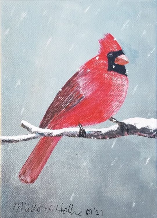 Northern Cardinal art 2-25-21.JPG