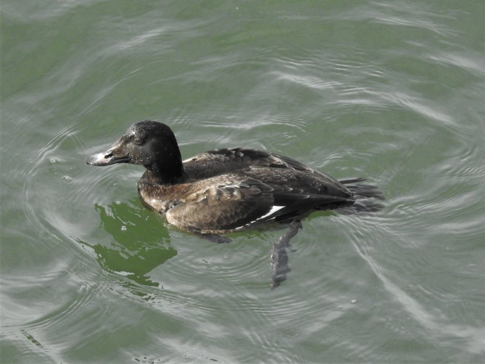DSCN5473.JPG