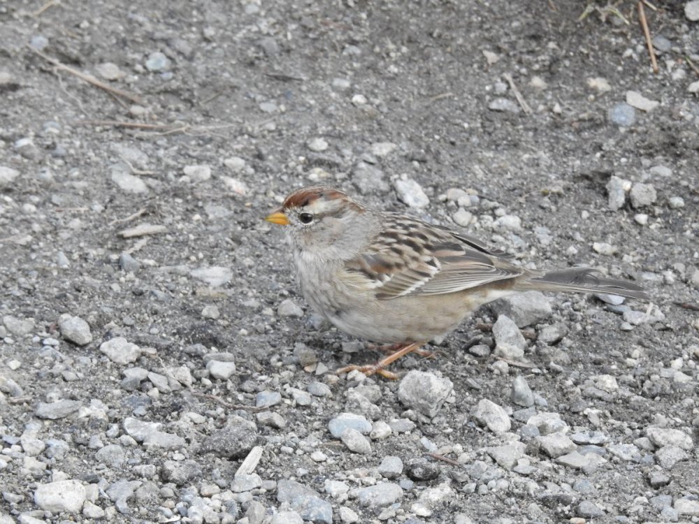 DSCN6237.JPG
