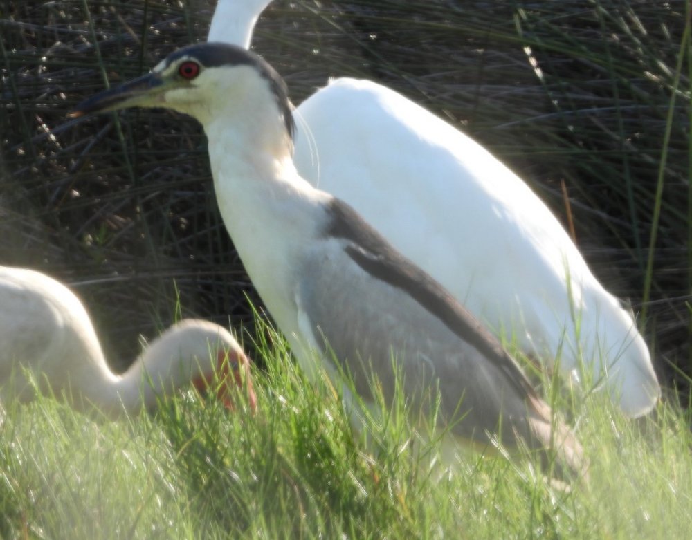 DSCN3352.JPG
