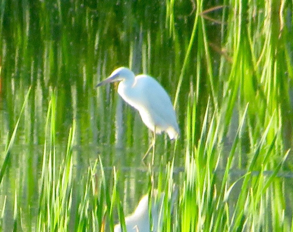 IMG_7380.jpg