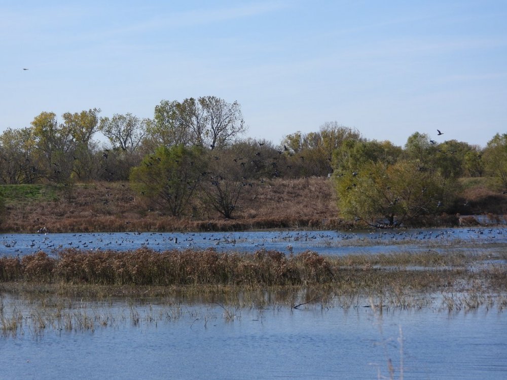 DSCN4388.JPG