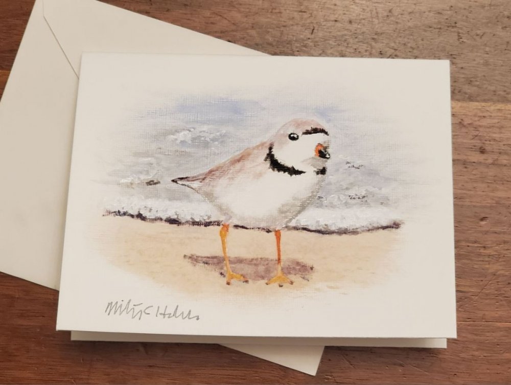Piping Plover in acrylic 6-5-22.JPG