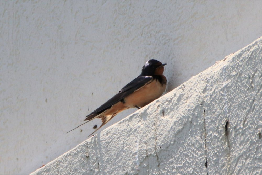 IMG_6359.JPG