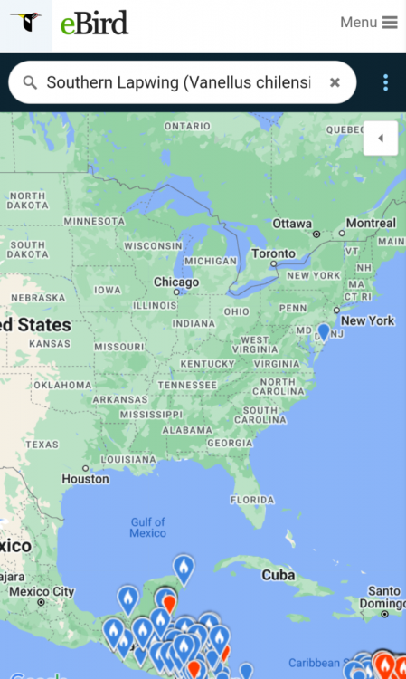 Screenshot_20220629-130518.thumb.png.bc8912209270e18318db7ad1dbacdd0b.png