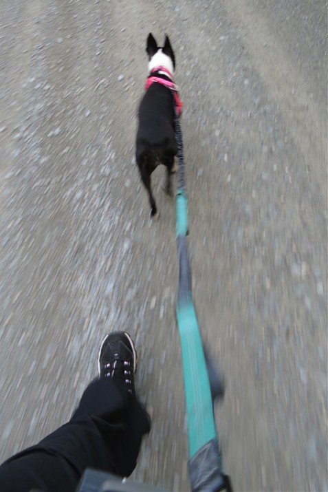 dorieonwalk.jpg.8edf8d87bb16a0b7c6948b4bccf3633b.jpg