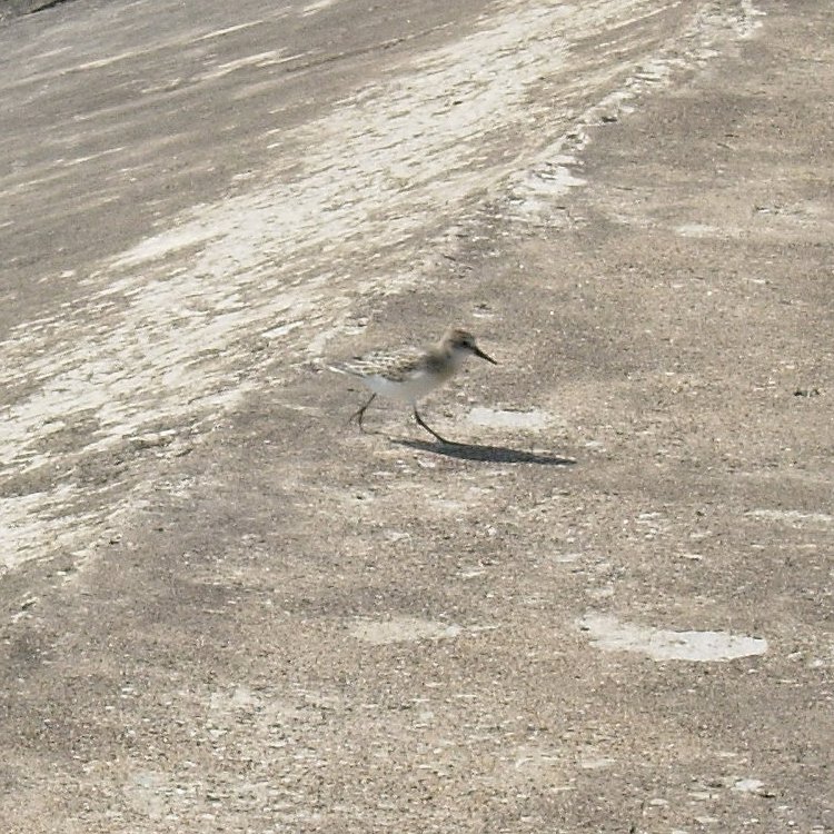 DSCN3920.JPG