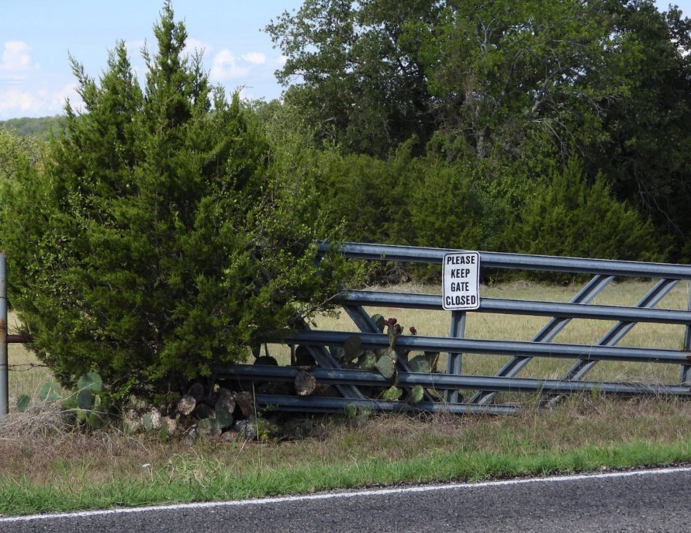 DSCN9821.JPG