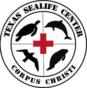 texas-sealife-center.png