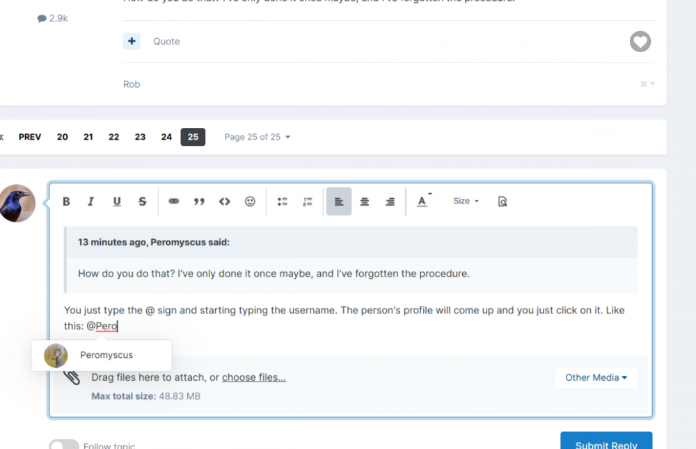 Screenshot 2022-10-19 4.13.25 PM.png