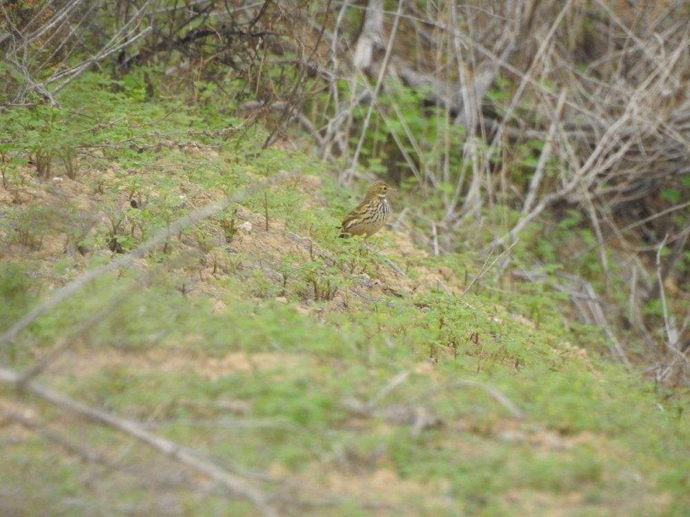 DSCN5842.JPG
