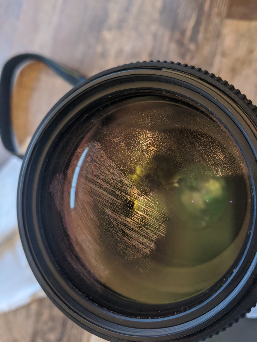 Camera Lens Question General Birding Topics Whatbird Community