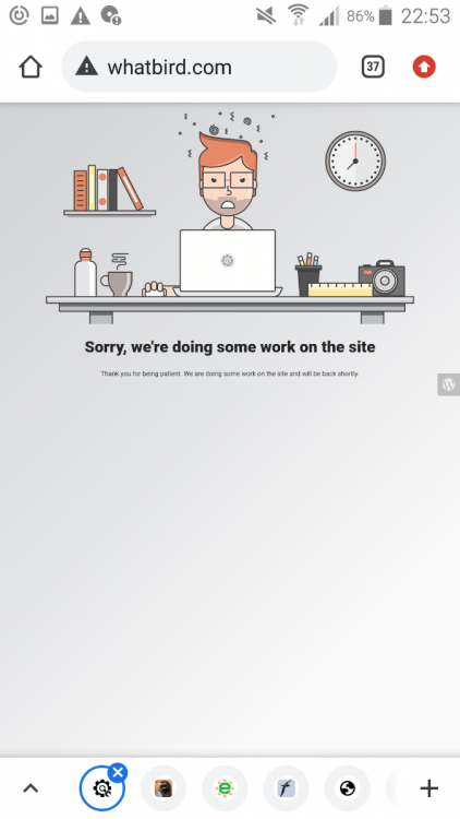 Screenshot_2022-12-03-22-53-32.png