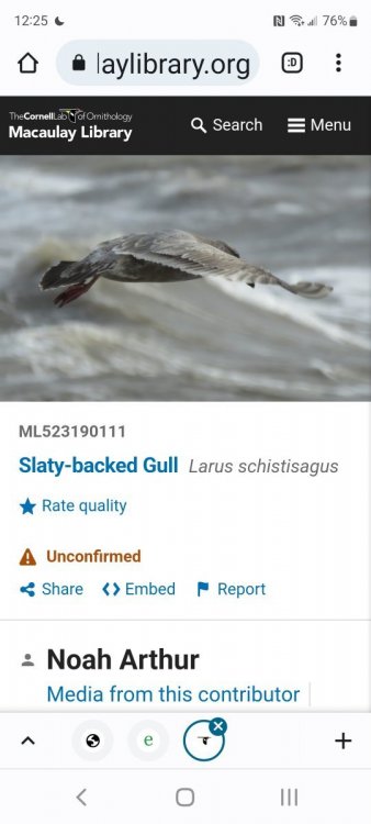 Screenshot_20230114-122542_Chrome.jpg