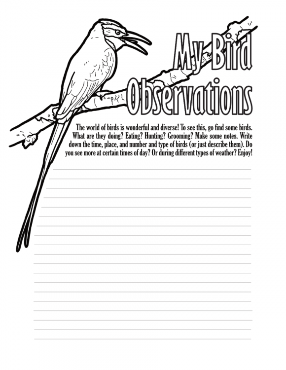 bird_watching_activity_page.png