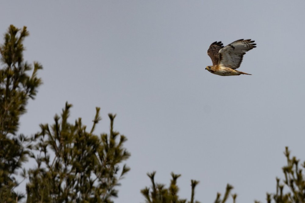 IMG_9524-Edit.jpg