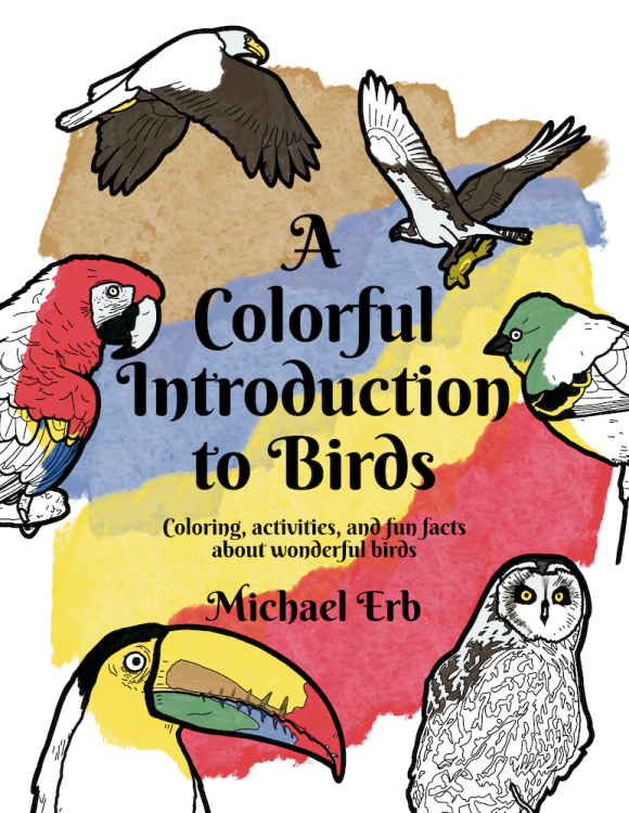 Colorful_Intro_to_Birds_cover1_front.png