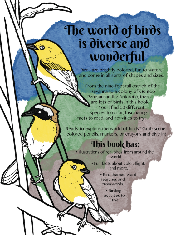 Colorful_Intro_to_Birds_cover2_back.png